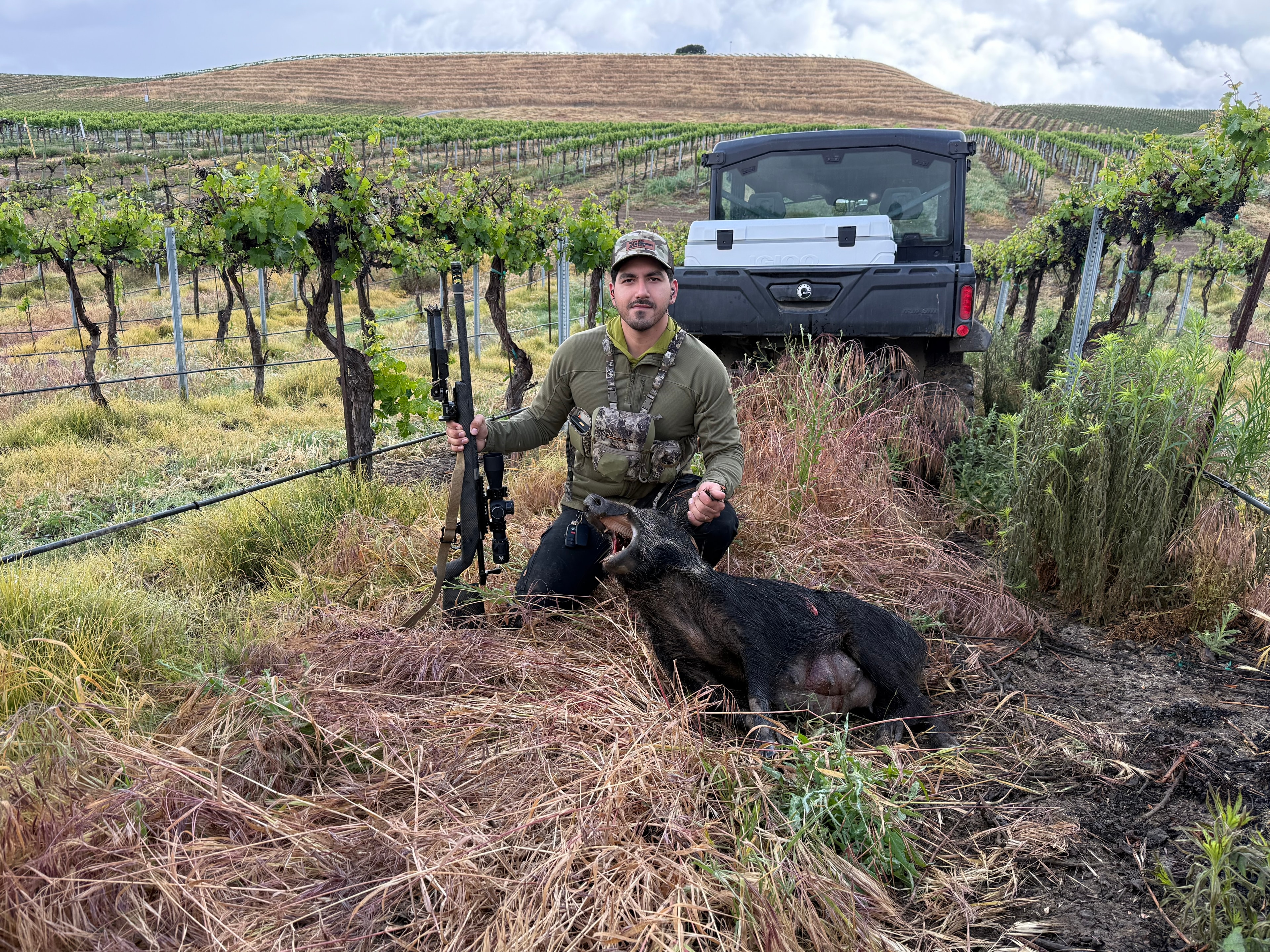 Hunter with rifle and harvested wild hog in vineyard