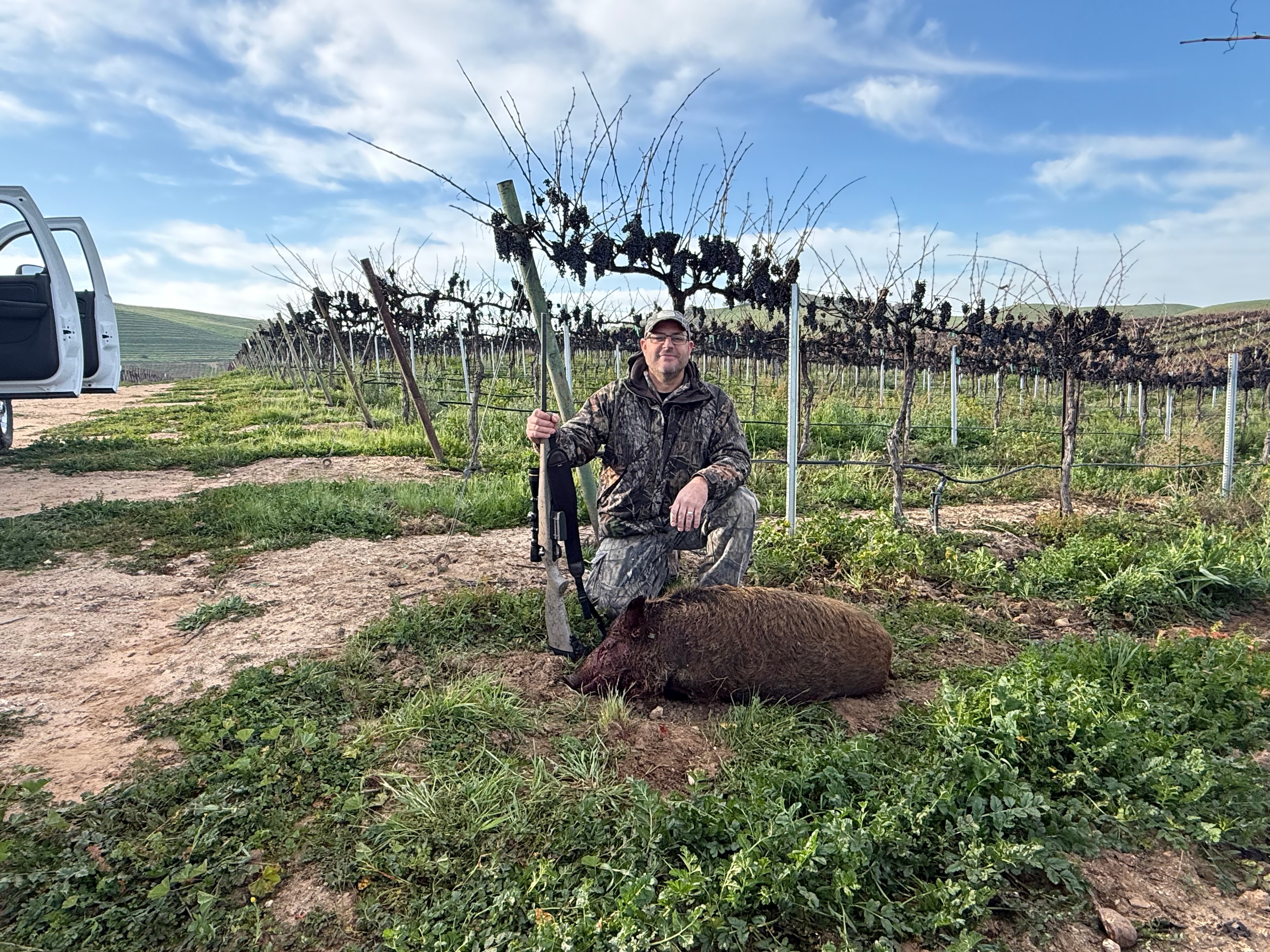 Hunter with harvested wild hog in vineyard