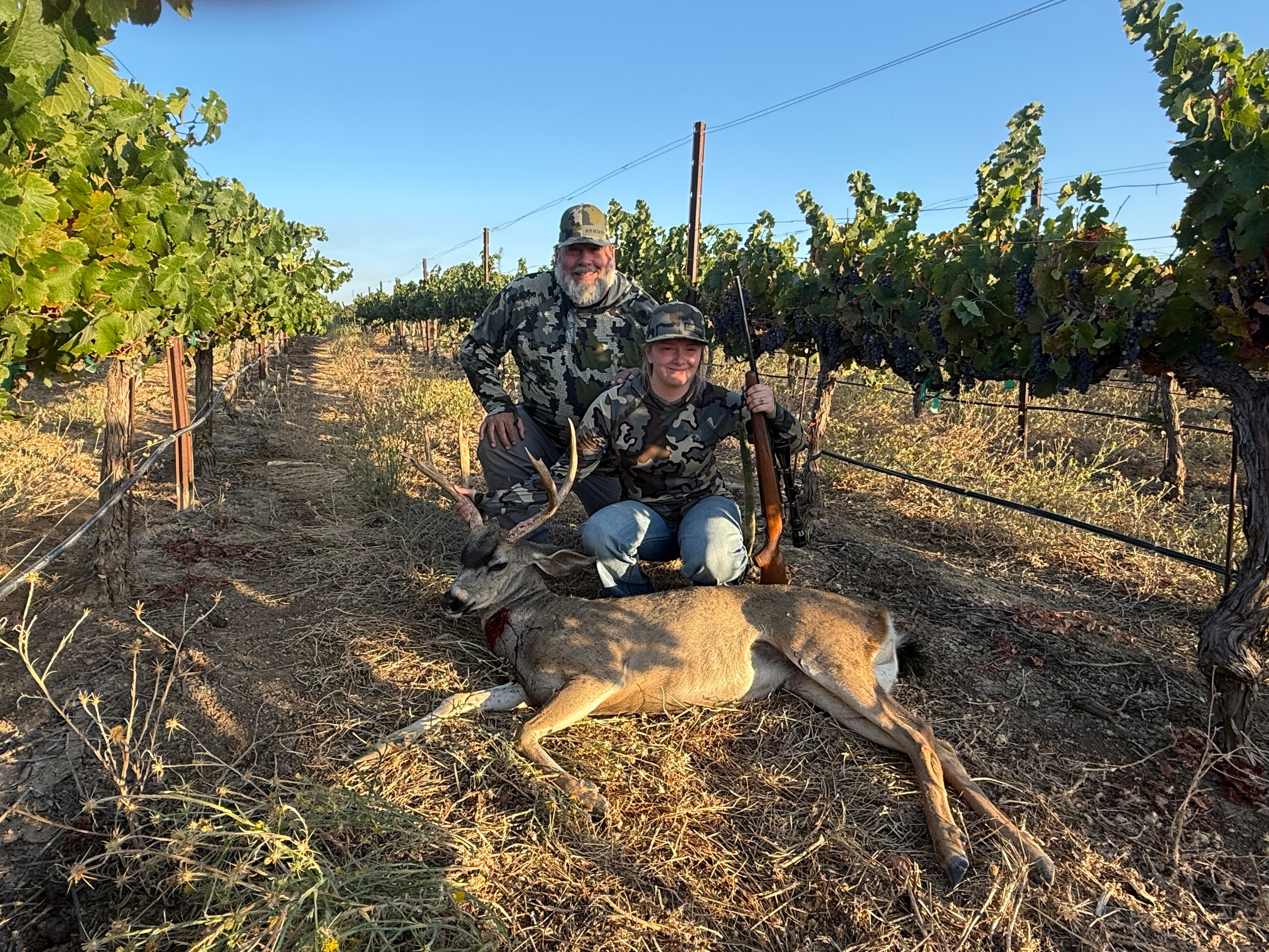 Hunters with harvested deer in vineyard